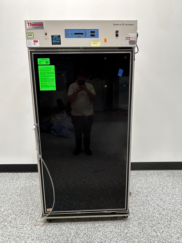 Image of Thermo Reach-In CO2 Incuabtor